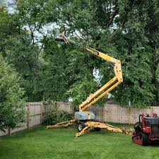 Best Lawn Drainage Solutions  in Keary, NE