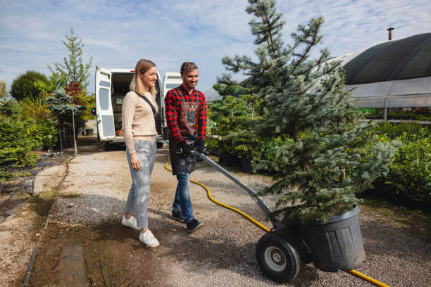 Best Storm Damage Tree Cleanup  in Keary, NE